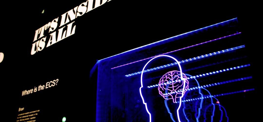 Photo Overloaded brain